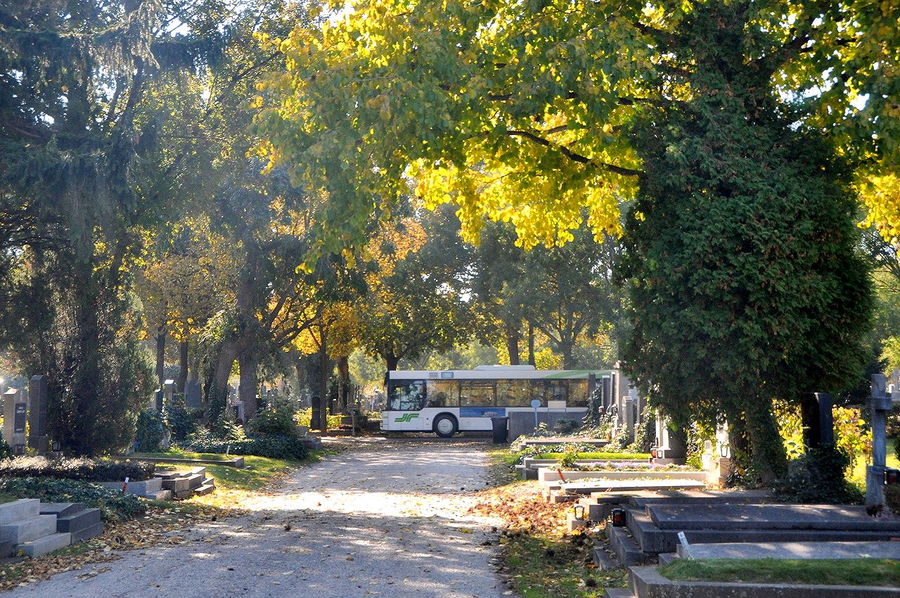  |Eigene Buslinie durch den Zentralfriedhof 